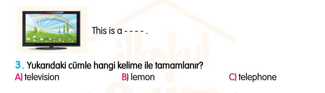 2. Sınıf Konu Tekrar Soruları Testi