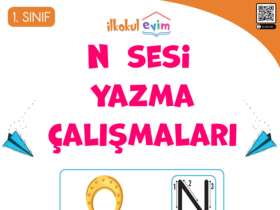 1. Sınıf N Sesi Yazma Çalışmaları