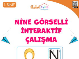 1. Sınıf N Sesi Nine Görselli İnteraktif Çalışma Etkinliği