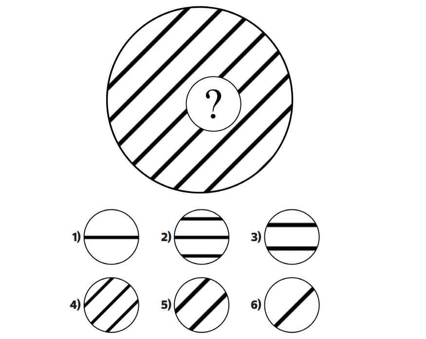 1-2-3. Sınıf Bilsem Hazırlık Sınavı-1