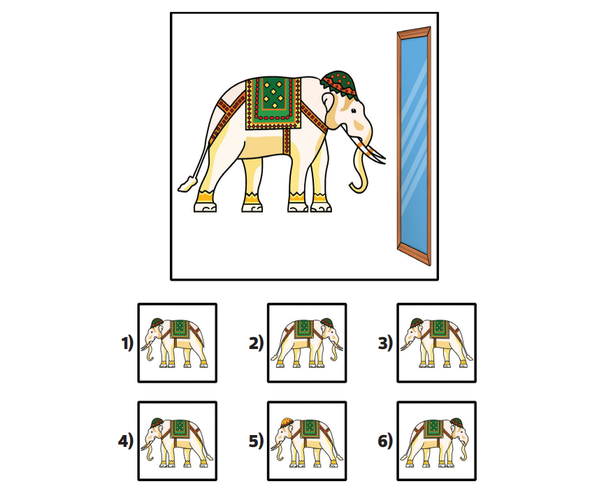 1-2-3. Sınıf Bilsem Hazırlık Sınavı-1