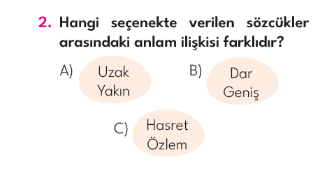 3.Sınıf 5. Hafta Değerlendirme Testi