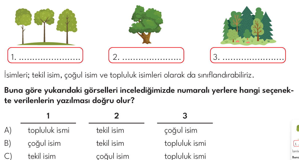 4.SINIF 2024-2025 EĞİTİM ÖĞRETİM YILI HAZIRBULUNUŞLULUK SINAVI