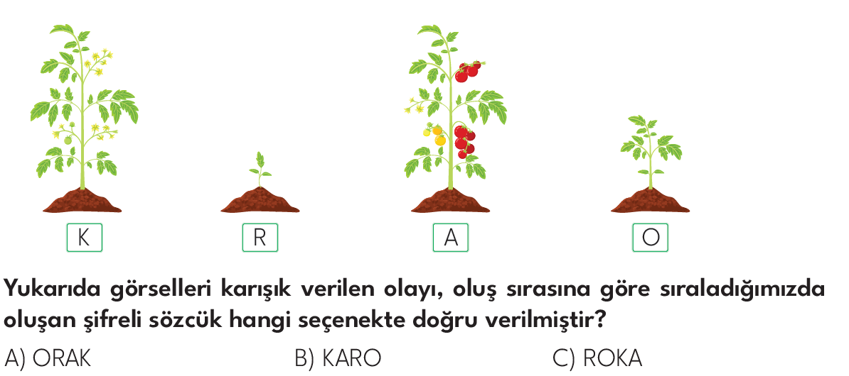 3.SINIF 2024-2025 EĞİTİM ÖĞRETİM YILI HAZIRBULUNUŞLULUK SINAVI