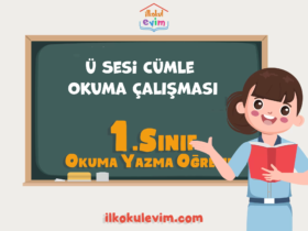 Ü Sesi Cümle Okuma Çalışması