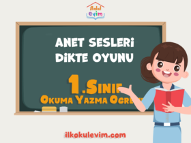 1. Sınıf ANET Sesleri Dikte Oyunu