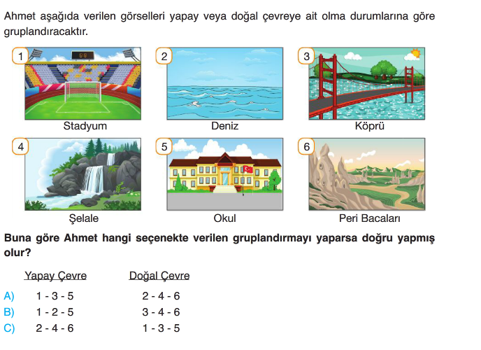 3.Sınıf Yıl Sonu Tarama -1