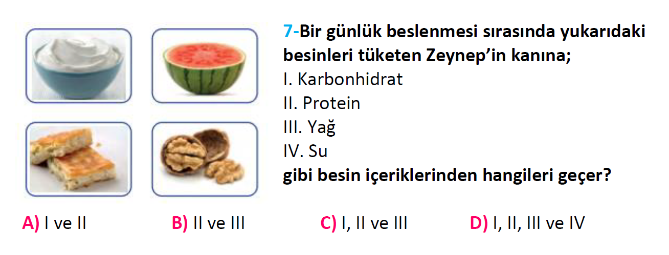 4. Sınıf Türkiye Geneli Kazanım Değerlendirme Sınavı-3