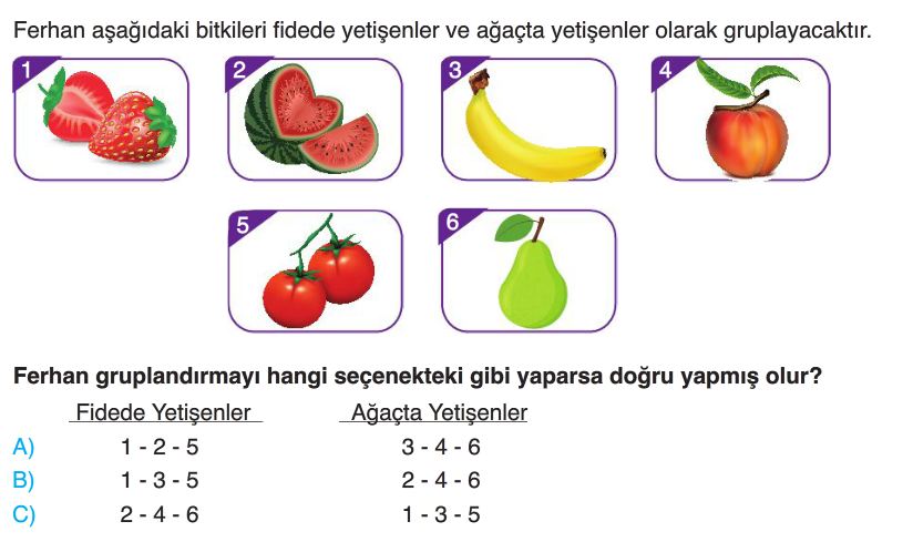 3.Sınıf Yıl Sonu Tarama -1