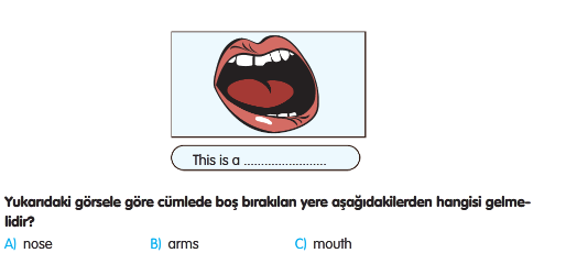 2.Sınıf Yıl Sonu Tarama -1