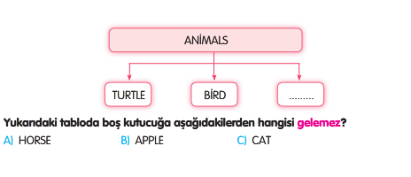 2.Sınıf Yıl Sonu Tarama -1