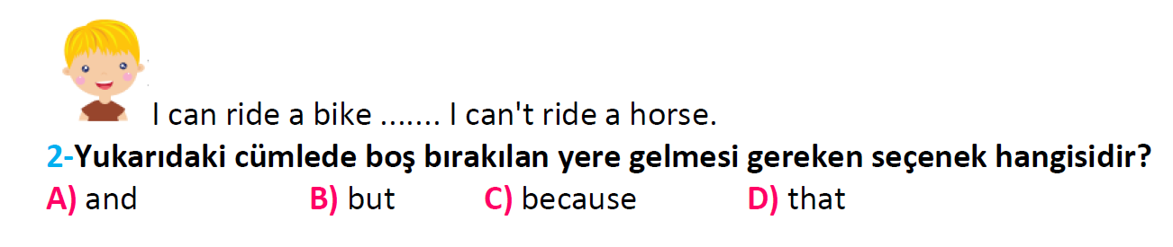 4. Sınıf Türkiye Geneli Kazanım Değerlendirme Sınavı-3