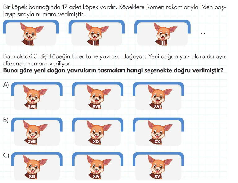 3. Sınıf Ultra Serisi Yeni Nesil Sorular