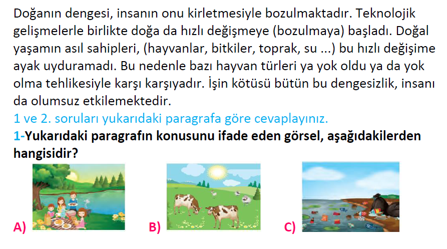 2. Sınıf Türkiye Geneli Kazanım Değerlendirme Sınavı-3