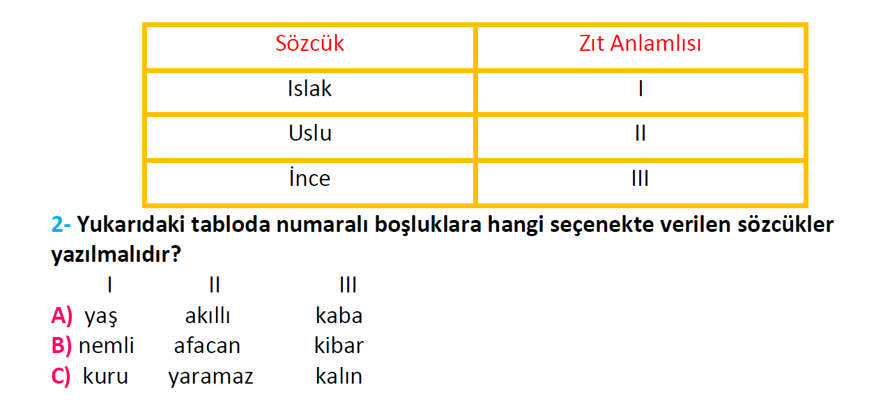 3. Sınıf Türkiye Geneli Kazanım Değerlendirme Sınavı-3