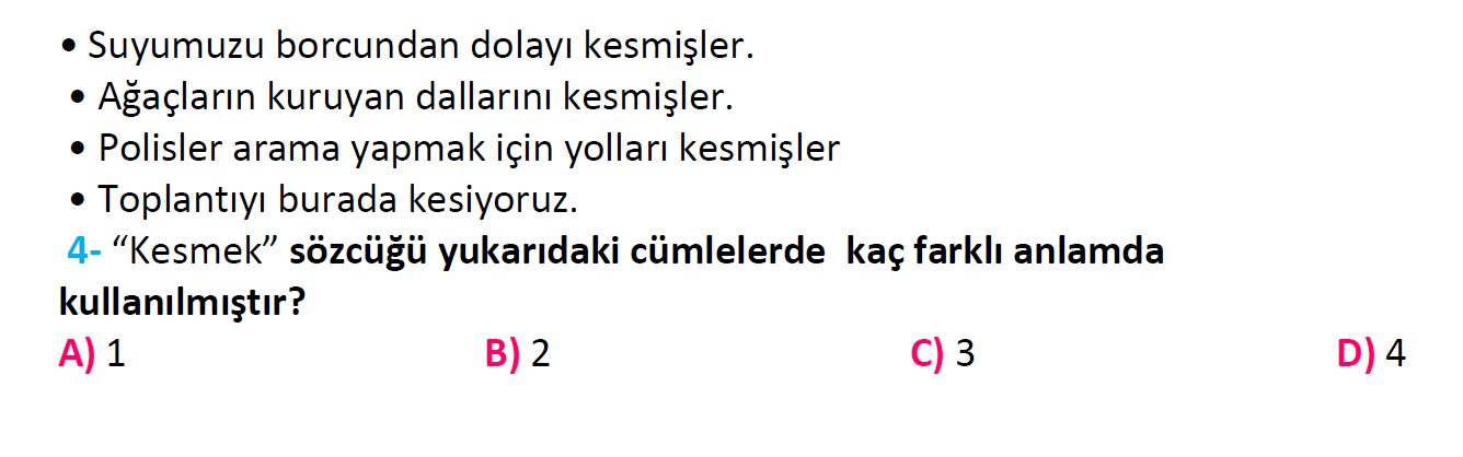 4. Sınıf Türkiye Geneli Kazanım Değerlendirme Sınavı-3