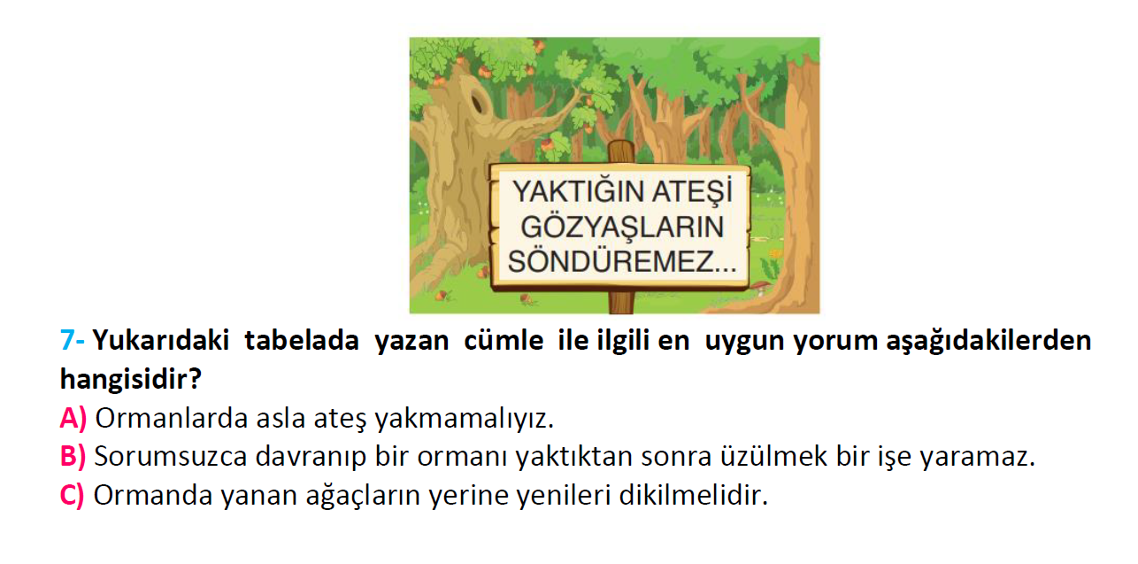 3. Sınıf Türkiye Geneli Kazanım Değerlendirme Sınavı-3