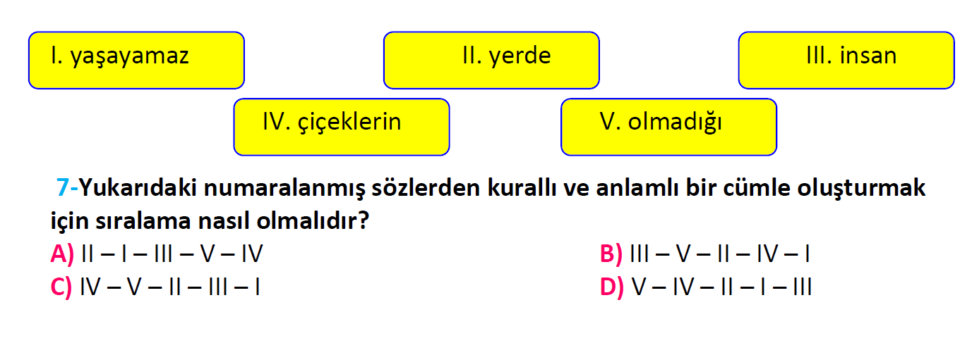 4. Sınıf Türkiye Geneli Kazanım Değerlendirme Sınavı-3